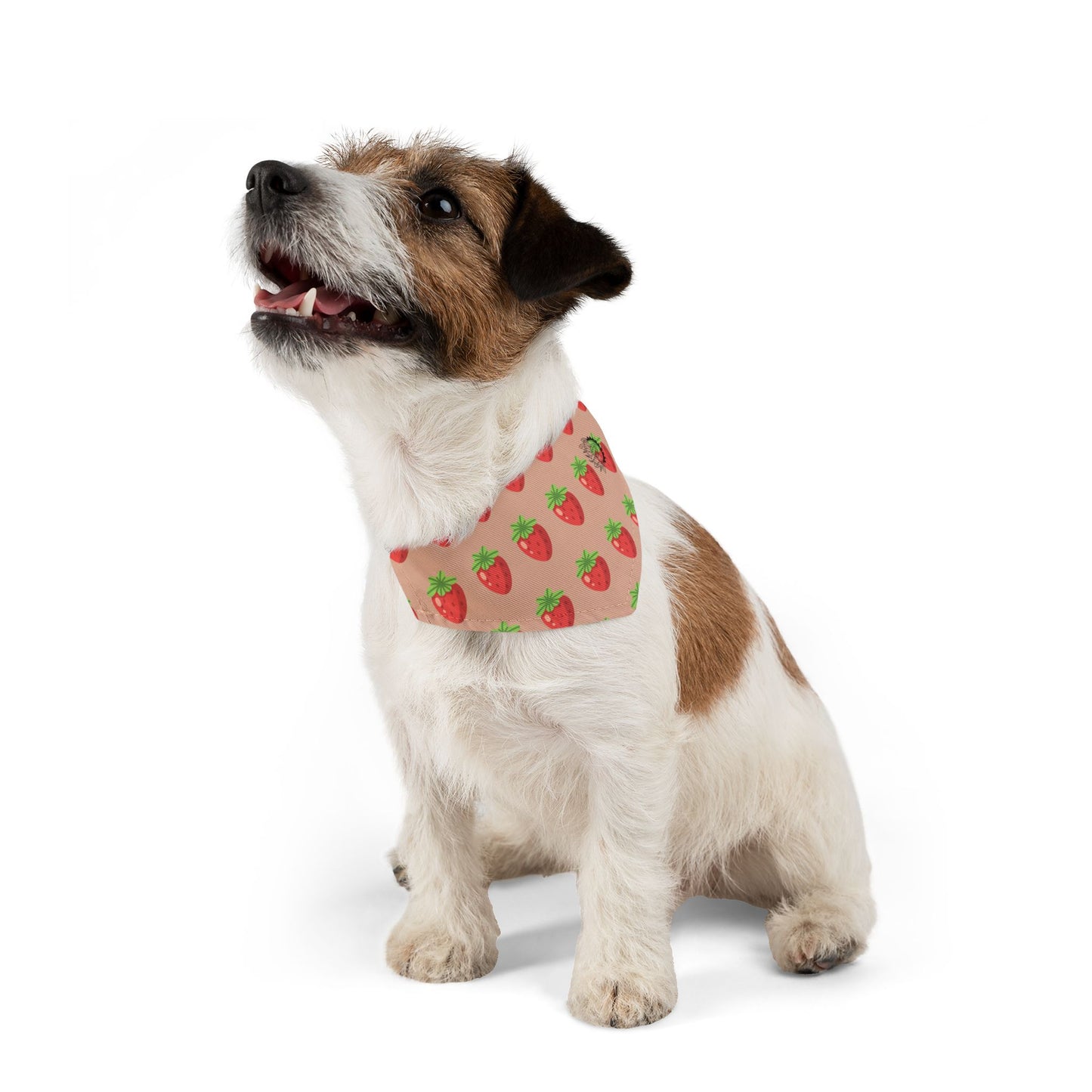 Pet Bandana - Strawberry fields with Logo