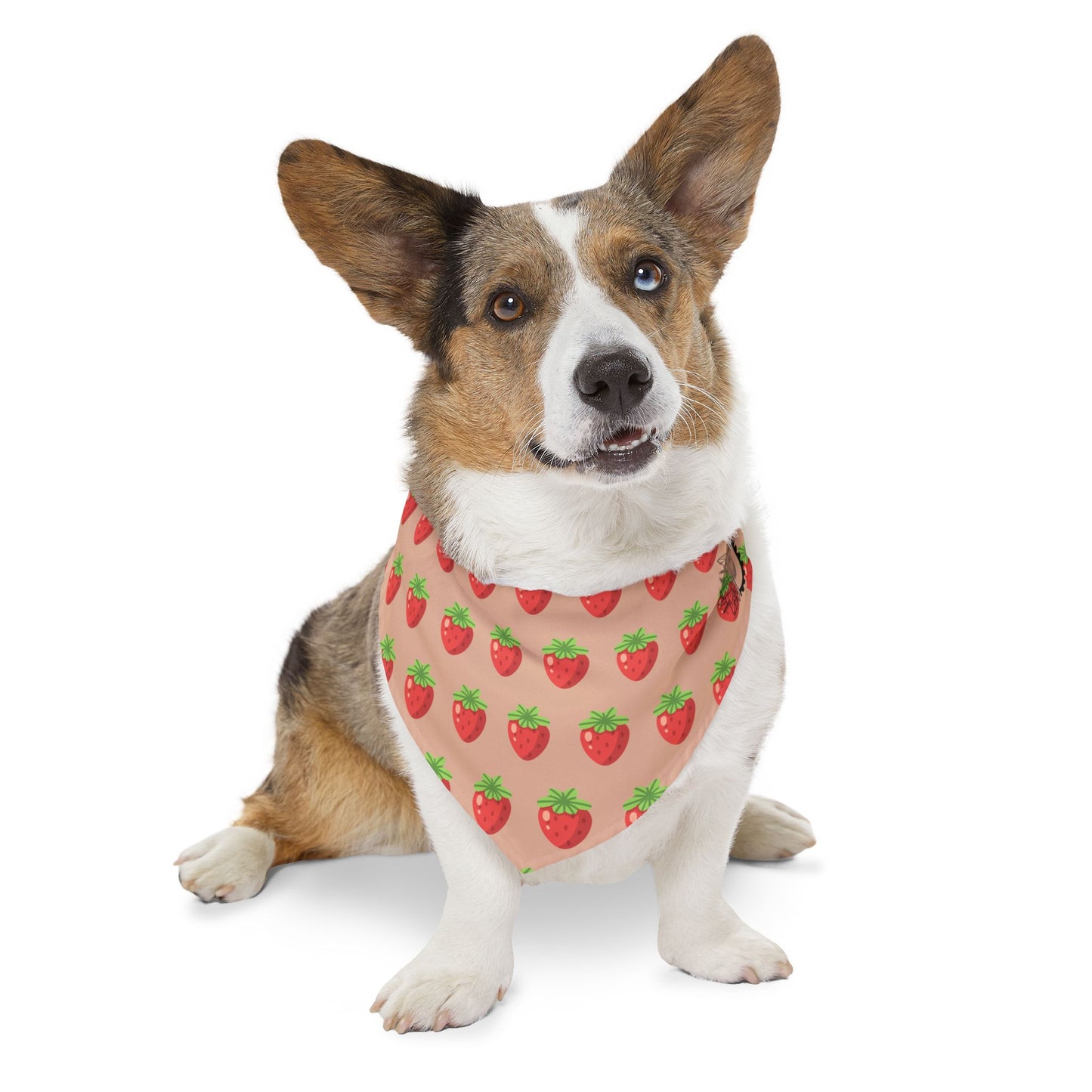 Pet Bandana - Strawberry fields with Logo