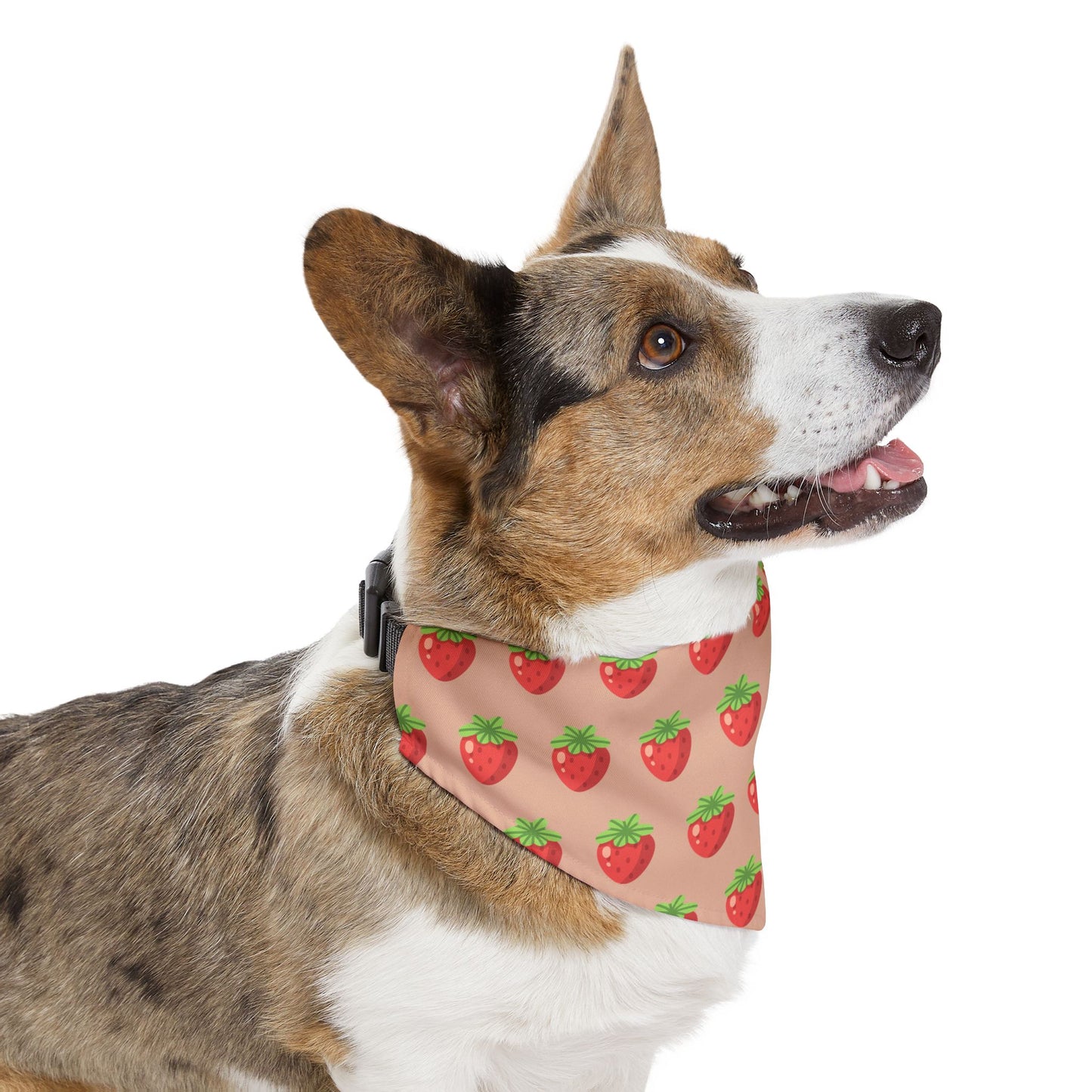 Pet Bandana - Strawberry fields with Logo