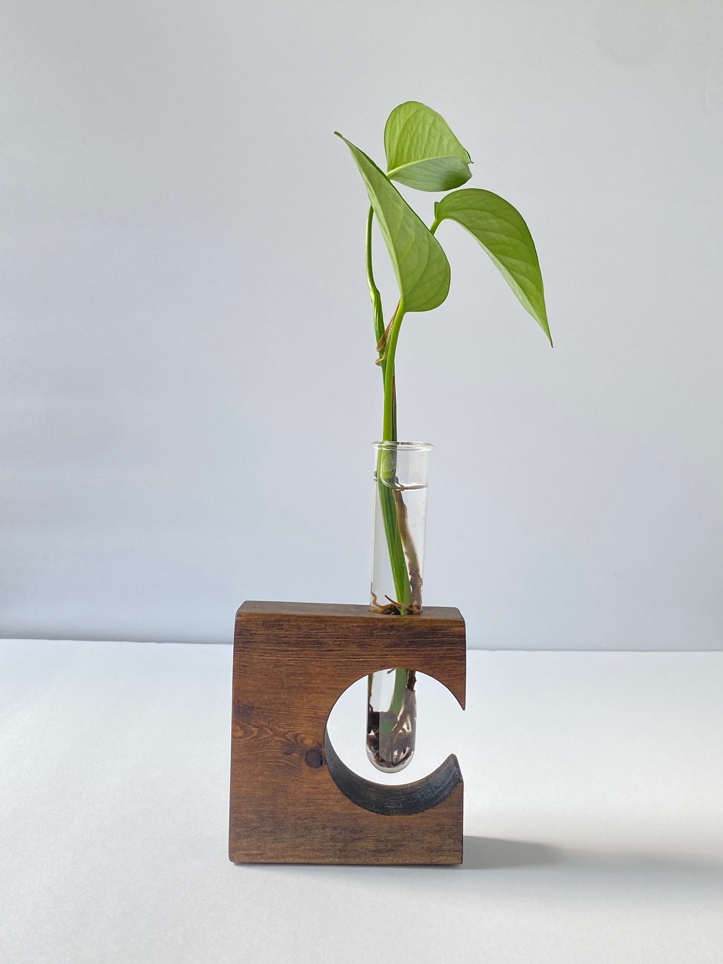 Wooden Cutout Propagation Stand