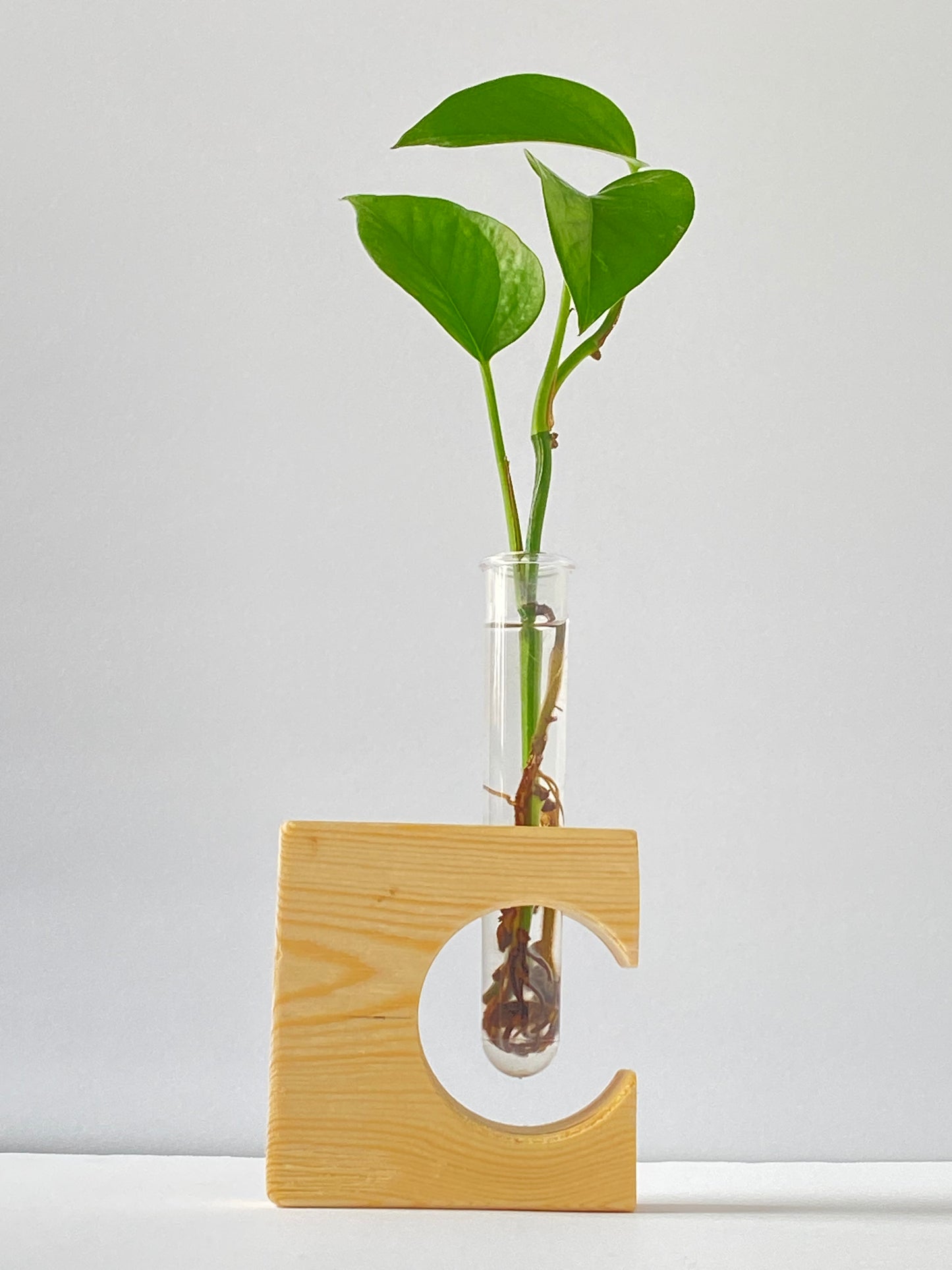 Wooden Cutout Propagation Stand