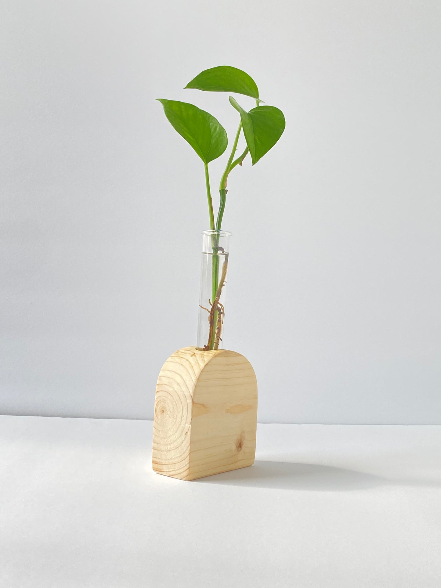 Natural Wood Plant stand